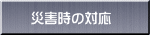 ЊQ̑Ή