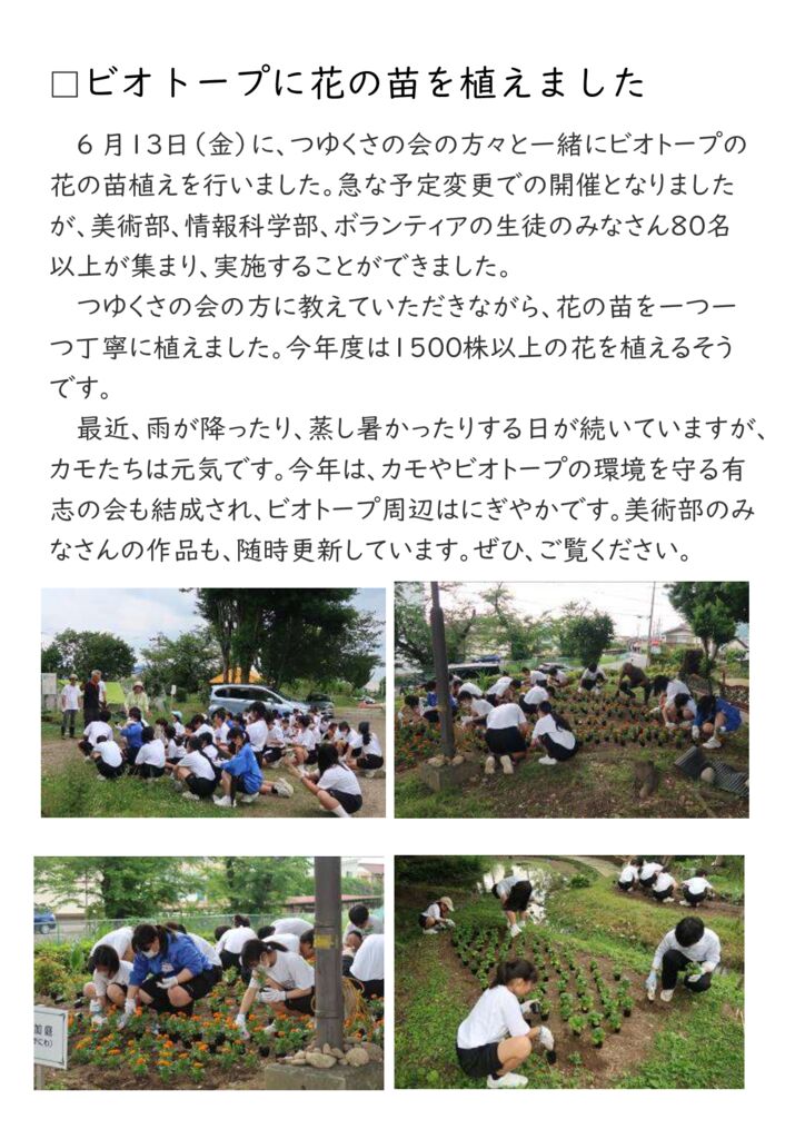 【0613】①ビオトープ花植のサムネイル