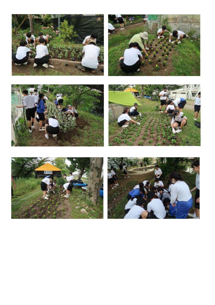 【0613】②ビオトープ花植のサムネイル