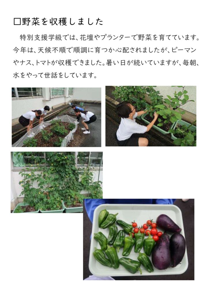 【0630】野菜の収穫（特支）のサムネイル