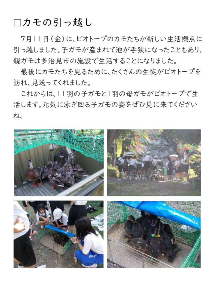 【0711】カモの引っ越しのサムネイル