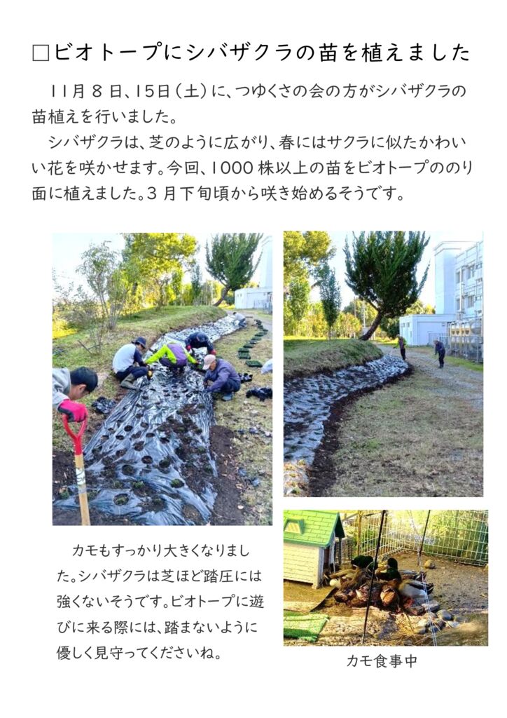 【1115】ビオトープ花植のサムネイル