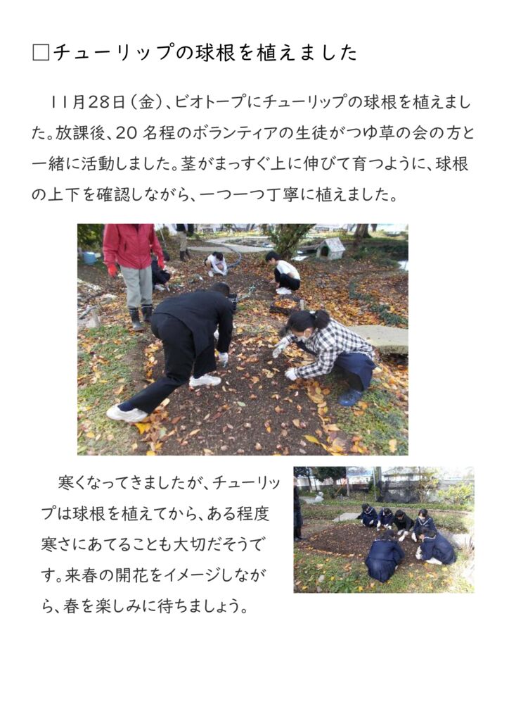 【1128】ビオトープ球根植えのサムネイル