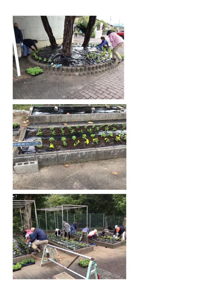 コスモスの里写真2のサムネイル