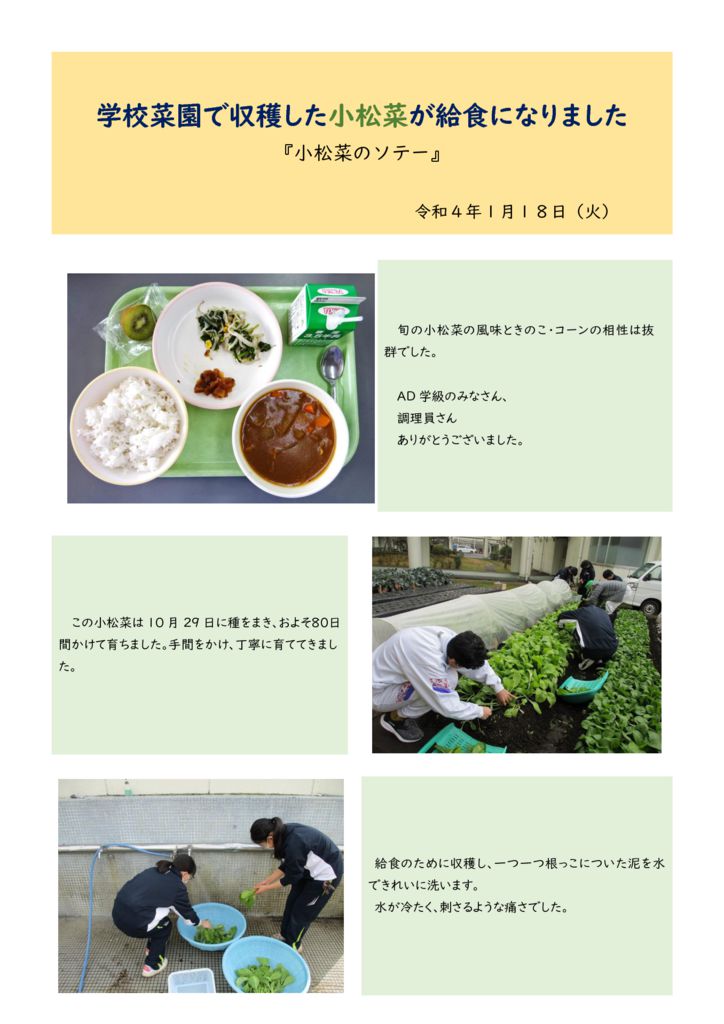 040118【HP】AD小松菜のサムネイル