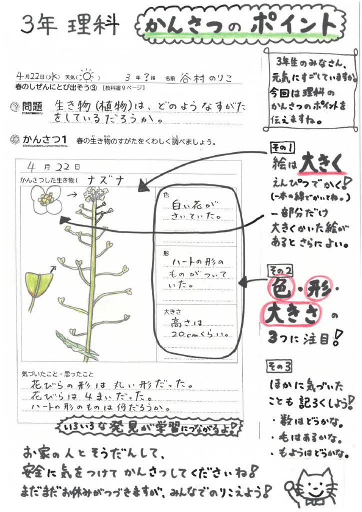 4 ３年生のみなさんへ やってみよう ３年生 かんさつカードを書いてみよう